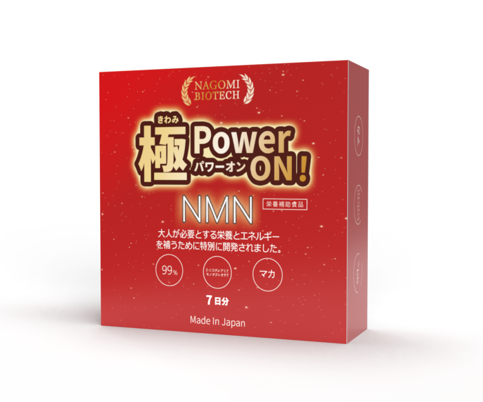 極Power-On-1.png