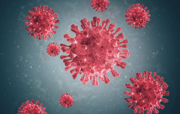 Microscopic images of the virus. Coronaviruses are a group of viruses that cause diseases in mammals and birds. In humans, the virus causes respiratory infections which are typically mild but, in rare cases, can be lethal.