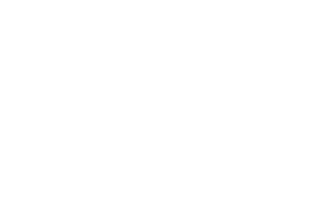 PSKIN logo_white2